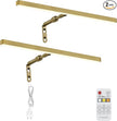 2 Pack Brass Picture Lights for Paintings Plug in, 16
