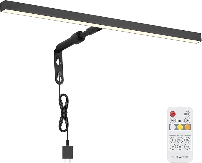 Picture Lights for Paintings Plug in, 16