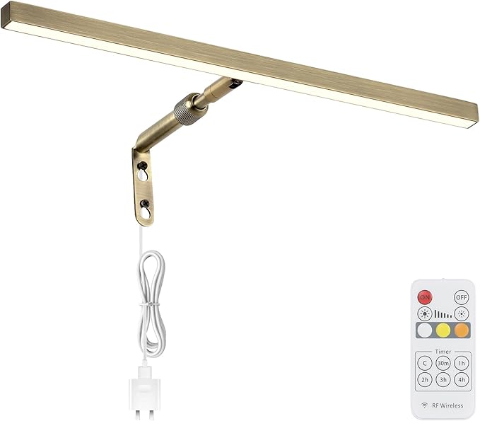 LED Picture Lights for Paintings Plug in, 16 Inch 4W Adjustable Art Light Gallery Wall Light for Display Art Work, Antique Brass Finish, CRI90+, 3000K Warm White