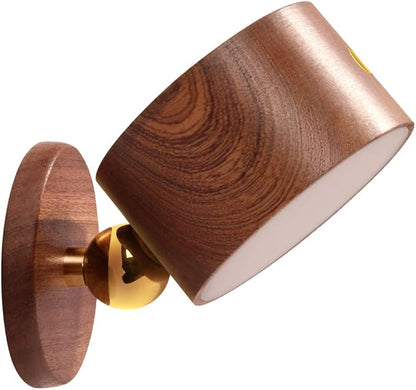 Led Wall Mounted Reading Lights, Wireless Wall Sconce with USB Charging Port Rechargeable Battery 360°Rotate Magnetic Ball Dimmable Touch Control, Lamps for Study Bedside(Sapele 2 PC)