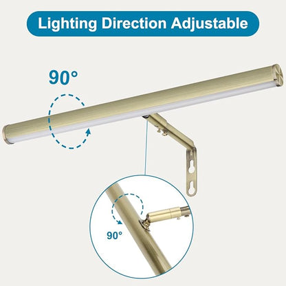 LED Picture Lights for Paintings Plug in, 14 Inch 4W Adjustable Art Light Gallery Wall Light for Display Art Work, Antique Brass Finish, CRI90+, 3000K Warm White, ETL Listed