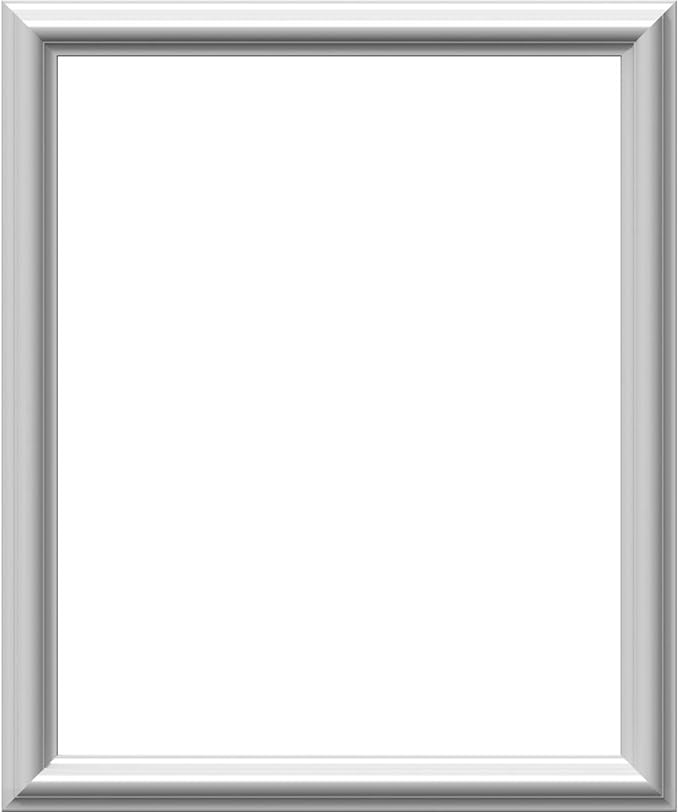 Ekena Millwork PNL20X24AS-01-CASE-2 Ashford Molded Classic Wainscot Wall Panel, 20-in. W x 24-in. H, Factory Primed White, 2 Count