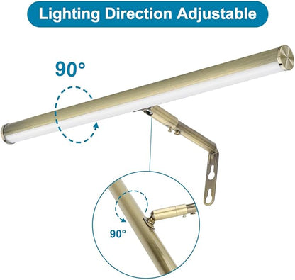 LED Picture Lights for Paintings Plug in, 16inch 6W Adjustable Art Light Gallery Wall Light for Display Art Work, Antique Brass Finish, CRI90+, 3000K Warm White