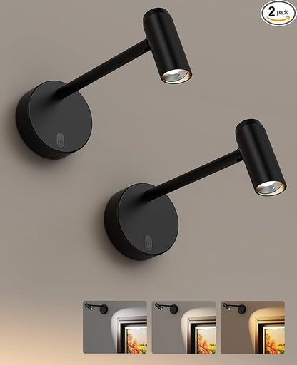 Picture Light for Wall, Battery Operated Art Light for Paintings CCT Dimmable Recharging Gallery Battery Wall Light with Remote Control for Living Room Gallery Dartboard Art Bathroom 2PCS