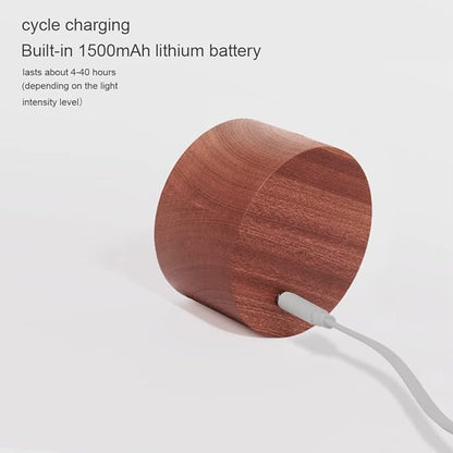 Led Wall Mounted Reading Lights, Wireless Wall Sconce with USB Charging Port Rechargeable Battery 360°Rotate Magnetic Ball Dimmable Touch Control, Lamps for Study Bedside(Sapele 2 PC)