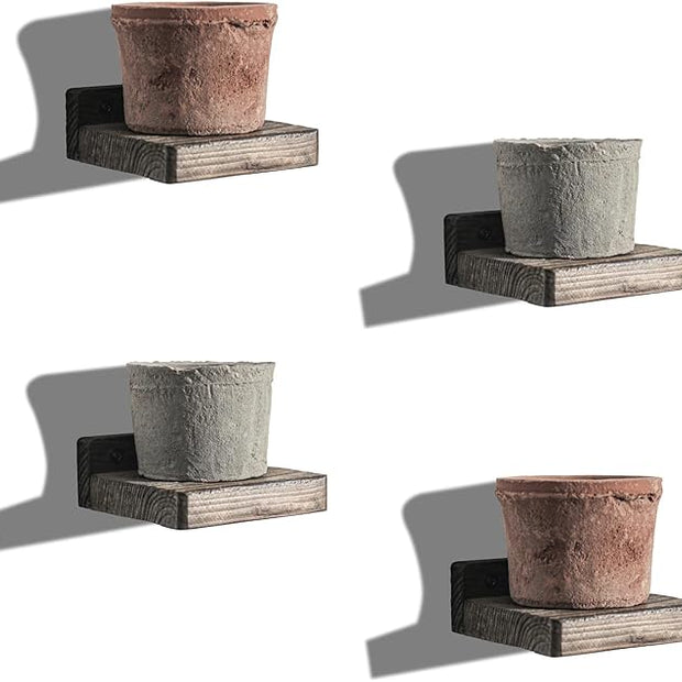 Freezing point Small Floating Shelf for Wall Set of 4 Natural Wood 4Inch Mini Wall Shelves Decor Plant Display Collectibles Mounted Kitchen Bathroom Bedroom Corner Decorative Storage Tiny Stand Brown