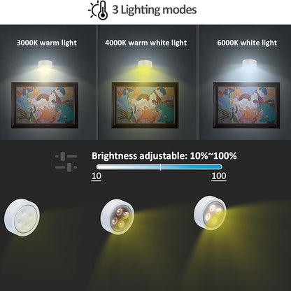 MIOBLUE 3Pack Picture Light Battery Operated Painting Lights, Wireless Magnetic Display Art Light with Remote Controls,Dimmable Timer Portrait Light for Art Frame Artworking,Wall Decor Puck Light