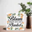 Spring Decor - Spring Decorations for Home - Bloom Where You Are Planted Wood Sign Home Desk Table Shelf Tabletop Decor 5×5 Inches