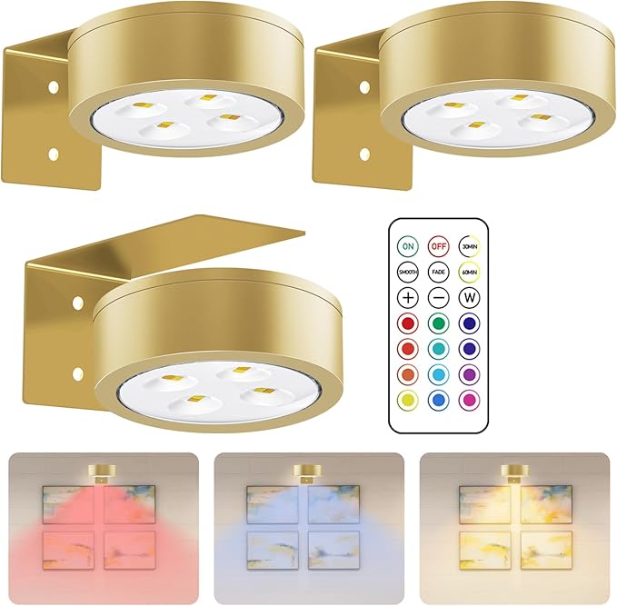 Wireless Battery Operated Painting with Remote Control 13 Color RGB Magnetic Led Art Display Light for Picture Frame, Dimmable and Timer, Wall Decor Display Light 3Pack Gold
