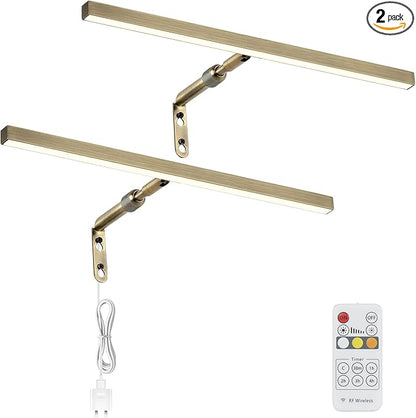 2 Pack LED Picture Lights for Paintings Plug in, 16 Inch 4W Adjustable Art Light Gallery Wall Light for Display Art Work, Antique Brass Finish, CRI90+, 3000K Warm White