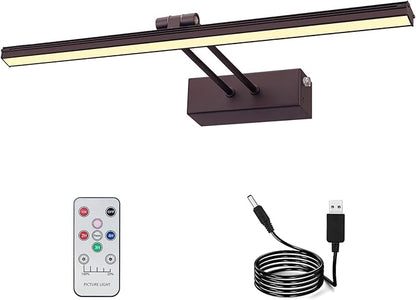 FUNCHDAY Picture Light,Battery Art Lights for Wall,Wireless Remote Painting Light with Timer and Dimmable,16”Metal Display Lighting for Artwork,Portrait,Gallery-Bronze