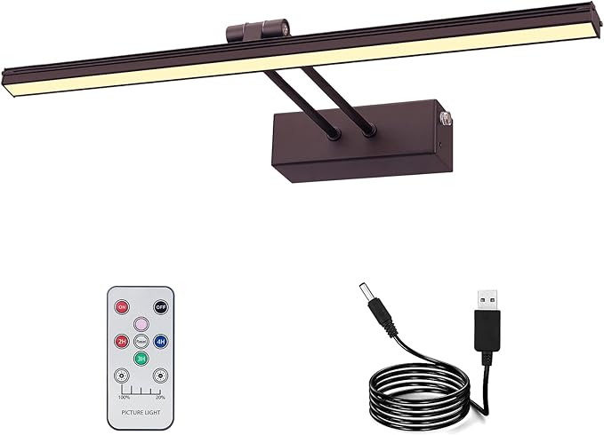 FUNCHDAY Picture Light,Battery Art Lights for Wall,Wireless Remote Painting Light with Timer and Dimmable,20”Metal Display Lighting for Artwork,Portrait,Gallery-BK