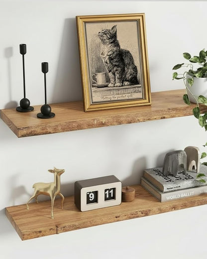 VIYYIEA Gold Small Framed Canvas Art, Vintage Cat Art Prints,12x16Inch, Retro Cat Lovers Decor for Home Bedroom Coffee Bar Office Shelf, Funny Animal Sketch Poster