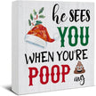 Funny Christmas Decor, Farmhouse Christmas Decorations, Gag Gifts for Women Men, He Sees You When You're Pooping Wooden Sign Rustic Home Bathroom Decor 5 x 5 Inches
