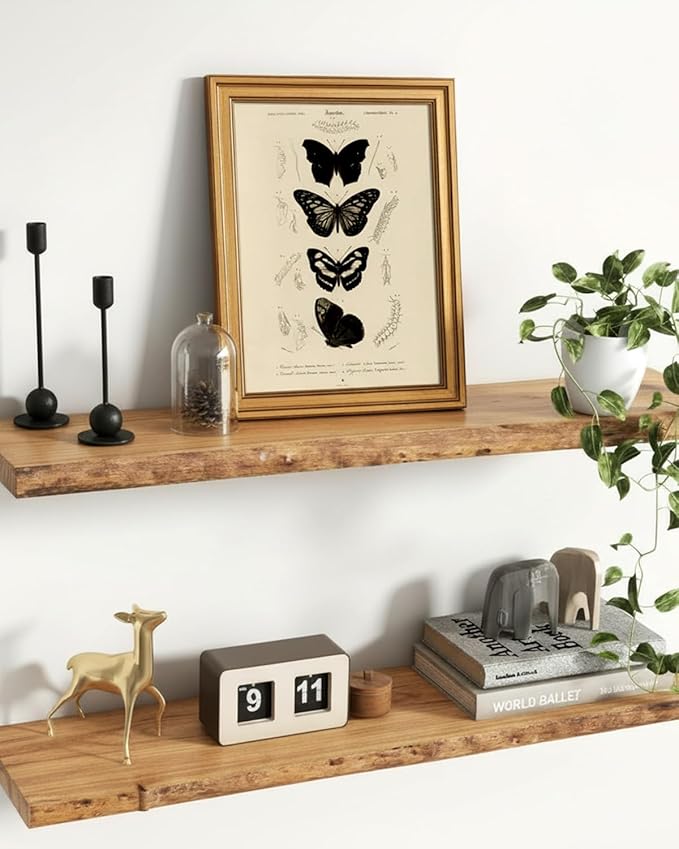 VIYYIEA Gold Framed Art Prints,12x16Inch, Butterfly Entomology Vintage Art Painting, Classical Scientific Decor for Library Bathroom Study Room Shelf, Rustic Farmhouse Canvas Picture