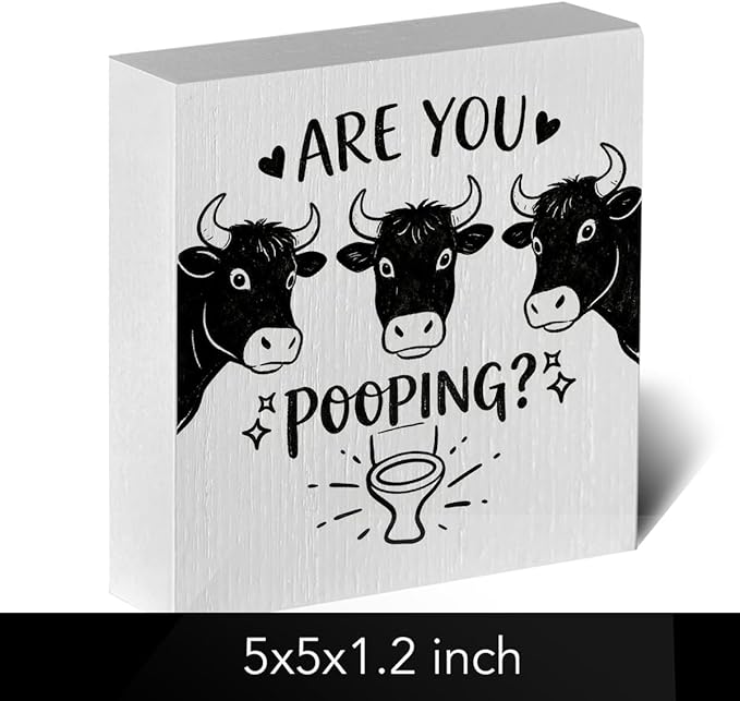 Funny Rustic Bathroom Wooden Box Sign 5x5 Inch - 