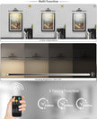 Rechargeable Lights for Pictures on wall Battery Operated Brushed Grey 15.7 Inch Wall Lights with Swing Arm and Timer Function Cordless Art Light with Remote Timer for Paintings,Gallery