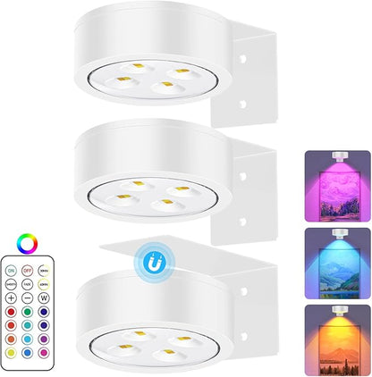RGB Picture Light Battery Operated Painting Lights for Wall Wireless Magnetic Display Art Light with Remote Controls,Dimmable&Timer for Art Frame Artworking,3Pack White