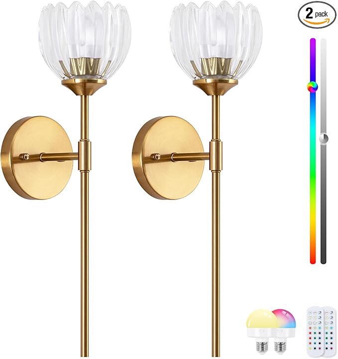 Vintage Battery Operated Wall Sconce Set of 2,Rechargeable Wall Lights with RGB Dimmable Detachable Bulbs and Remote,LED Wireless Wall Lamps for Bedroom Living Room Hallway