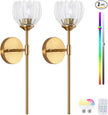 Vintage Battery Operated Wall Sconce Set of 2,Rechargeable Wall Lights with RGB Dimmable Detachable Bulbs and Remote,LED Wireless Wall Lamps for Bedroom Living Room Hallway
