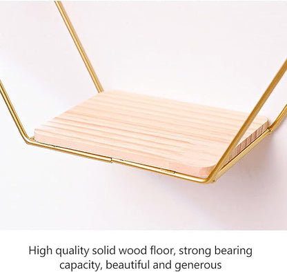 Callicarpa Geometric Hexagon Shaped Floating Shelves Set of 3 Metal Hexagon Shelves Display Shelf for Bedroom, Living Room, Bathroom, Kitchen and Office(Gold)
