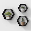AHDECOR Wall Mounted Hexagon Floating Shelves, Wooden Wall Organizer Hanging Shelf for Home Decor, Set of 3, Black