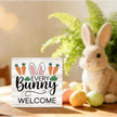 Easter Bunny Sign Decor Spring Easter Bunny Carrot Table Decorations Decor Indoor for Home Office Desk Table Shelf Tiered Tray Every Bunnys Welcome Wooden Sign 5 X 5 Inch
