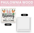 Easter Bunny Sign Decor Spring Easter Bunny Carrot Table Decorations Decor Indoor for Home Office Desk Table Shelf Tiered Tray Every Bunnys Welcome Wooden Sign 5 X 5 Inch