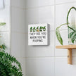 St Patricks Day Decor Funny Bathroom Shamrock Decor Green Gnome Would Poop Here Again Wood Sign Funny Home Tabletop Shelf Desk Decor 5 X 5 Inches