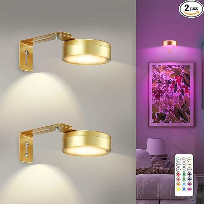 2 Pack Gold Picture Lights for Wall Battery Operated, 12 RGB Color Changing Led Wall Art Light, Magnetic Painting Light with Remote Control, Art Gallery Lights Photo Sconce for Art Display