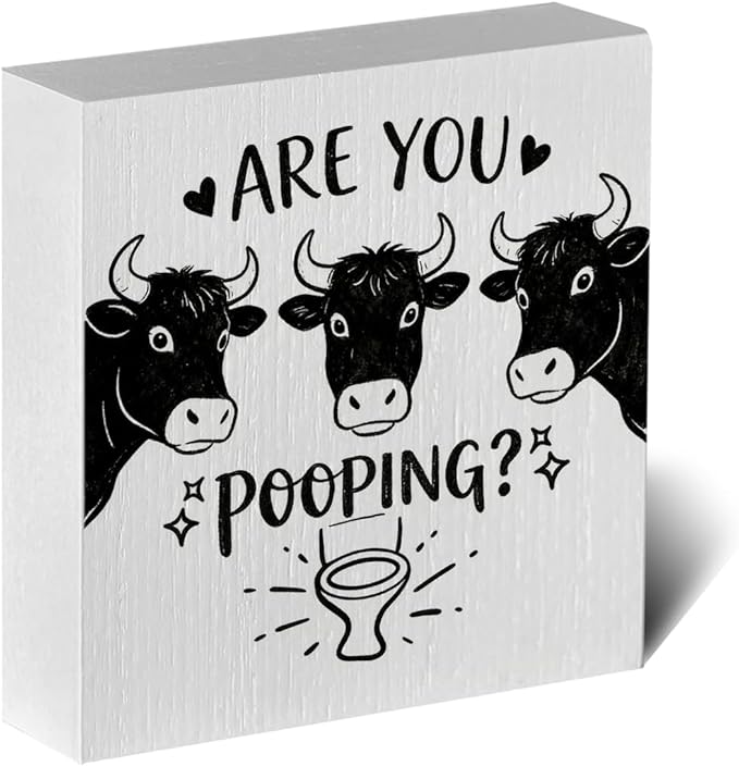 Funny Rustic Bathroom Wooden Box Sign 5x5 Inch - 