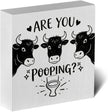 Funny Rustic Bathroom Wooden Box Sign 5x5 Inch - 