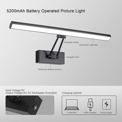 Picture Light, 16 inches Art Light, Picture Light Battery Operated,3CCT Picture Lights for Wall,Battery Operated Wall Lights,Gallery Light for Wall,Photo,Library (Matt Black)