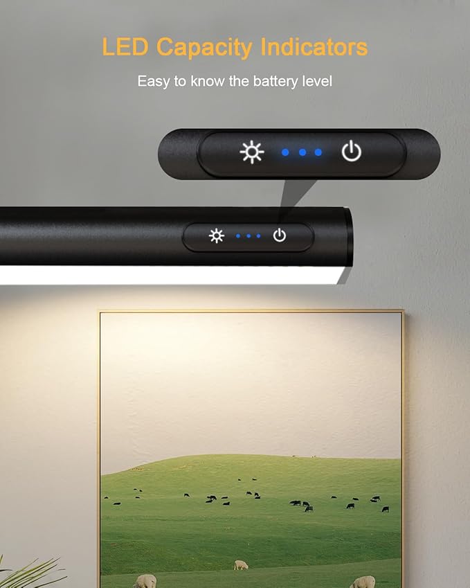 GOVSSING Picture Lights for Wall - 4000mAh Rechargeable Battery Wireless Picture Light with Remote, 3 Color Temps & Brightness Adjustable, 15.7” Rotatable Art Light, Memory & Timer Functions, Black
