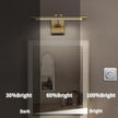 Joosenhouse LED Picture Light Fixtures Dimmable 16.53