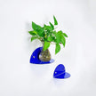 ROYALITA Small Acrylic Shelves Room Decor Floating Shelves (2-Pack, 8-inch Diameter) - Wall Mounted Display Stand for Plants, Toys, Makeup, and More - Ideal for Home and Office, Blue