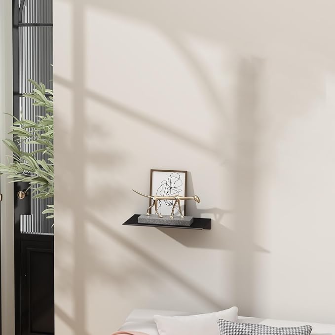 Danpoo Small Floating Shelf for Wall Storage, Mini Display Shelf for Collectibles, Metal Wall Shelf for Bathroom/Living Room/Kitchen/Bedroom(Black, 8