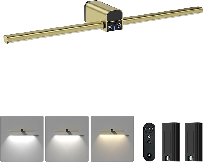 Lightbiz Picture Light for Wall 20inch, 10000mAh Rechargeable Battery Operated Cordless Dimmable Wall Lights for Picture on Wall with Remote Timmer, Picture Lights for Gallery Artwork, Paintings