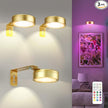 3 Pack Gold Picture Lights for Wall Battery Operated, 12 RGB Color Changing LED Wall Art Light, Magnetic Painting Light with Remote Control,Art Gallery Lights Photo Sconce for Art Display