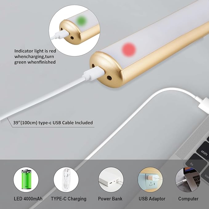 Picture Light, Rechargeable Picture Light for Paintings with Remotes, Wireless Picture Frame Light, 3 Lighting, 300LM Battery Operated Art Light for Display, Picture-Gold