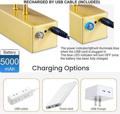 FUNCHDAY Picture Light Wireless, Rechargeable Gallery Light Battery Operated, 280LM Dimmable Art Lighting with Remote, 16" Metal Picture Lights for Wall, Paintings, Portrait, Photo (Brass)