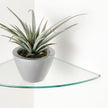 Dulles Glass 16