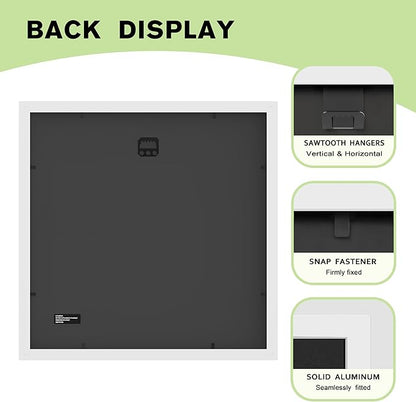FrameWorks 12x12 mat to 8x8 Classic Wooden Picture Frames Tempered Glass/White / 6-Pack