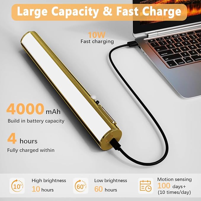 Motion Sensor Wireless Rechargeable Picture Light, Battery Operated Magnetic Art Wall Sconce with Remote Control, LED Picture Frame Lamp for Portrait Poster Painting Mirror Gallery (Antique Brass)