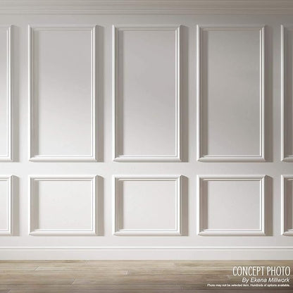Ekena Millwork PNL20X24AS-01 20"W x 24"H x 1/2"P Ashford Molded Classic Wainscot Wall Panel