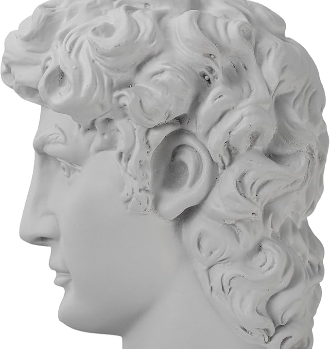 Lukitas David Head Decorative Bookends, Heavy Duty Half-and-Half Book Ends Non-Slip, Classical Artistic Sculpture for Office Home Bookshelf Decor, Black & White, Resin 9.5''