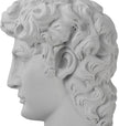 Lukitas David Head Decorative Bookends, Heavy Duty Half-and-Half Book Ends Non-Slip, Classical Artistic Sculpture for Office Home Bookshelf Decor, Black & White, Resin 9.5''