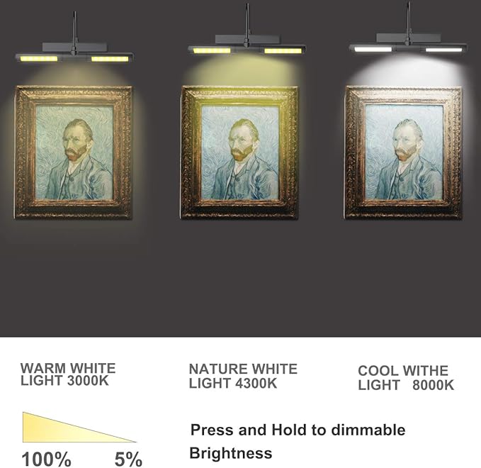 BIGLIGHT Wireless Picture Light Battery Operated, 13 Inches Artwork Light with Remote and Timer, Dimmable Display Lamp for Painting Dartboard Photo Frame Portrait Art, Black