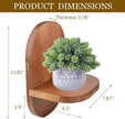 ARTORA Wall Mounted Plant Holder, Wooden Flower Pot Wall Hanging Shelf Black Indoor Outdoor Decorative Floating Shelves Planter Hanger Racks for Wall Bedroom Living Room Porch Balcony Decor (1 Pack)