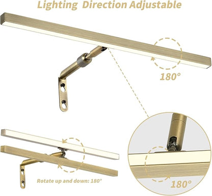 2 Pack LED Picture Lights for Paintings Plug in, 16 Inch 4W Adjustable Art Light Gallery Wall Light for Display Art Work, Antique Brass Finish, CRI90+, 3000K Warm White